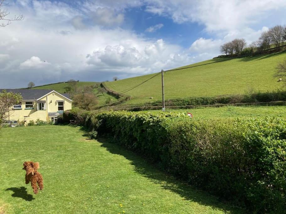 Charming Countryside Cottage Ground Floor Apartment In Combeinteignhead Devon Bishopsteignton Exterior foto